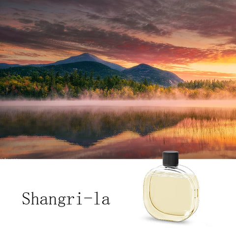 7-Speed Adjustable Aromatherapy Diffuser