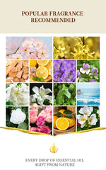 10ml Water-Soluble Aromatherapy Oil
