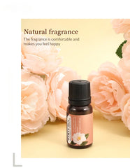 10ml Water-Soluble Aromatherapy Oil