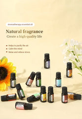 10ml Water-Soluble Aromatherapy Oil