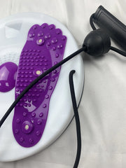 Waist Twisting Disc Machine