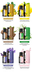 10ml Water-Soluble Aromatherapy Oil